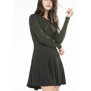 Express ribbed sweater dress olive green and black